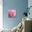 Butterfly on the Azaleas-Jai Johnson-Stretched Canvas displayed on a wall