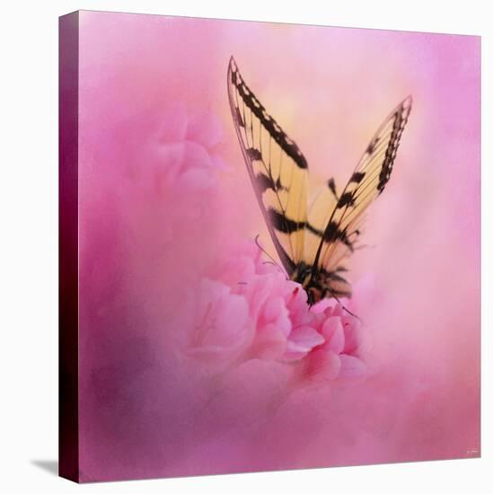 Butterfly on the Azaleas-Jai Johnson-Stretched Canvas