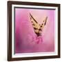 Butterfly on the Azaleas-Jai Johnson-Framed Giclee Print