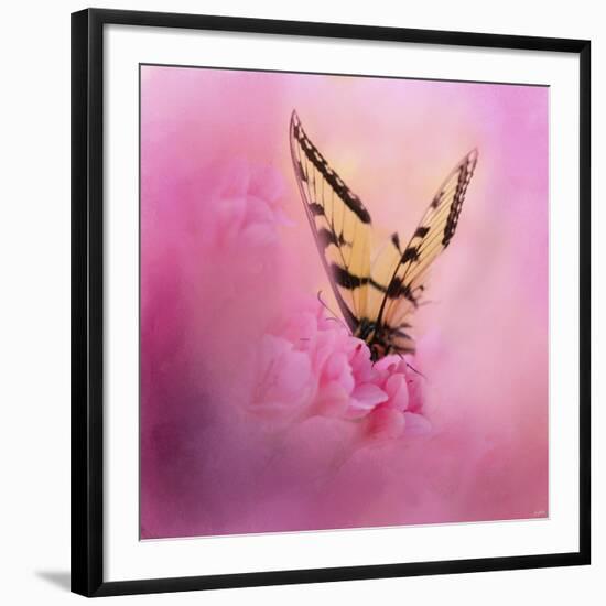 Butterfly on the Azaleas-Jai Johnson-Framed Giclee Print