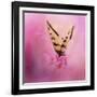 Butterfly on the Azaleas-Jai Johnson-Framed Giclee Print