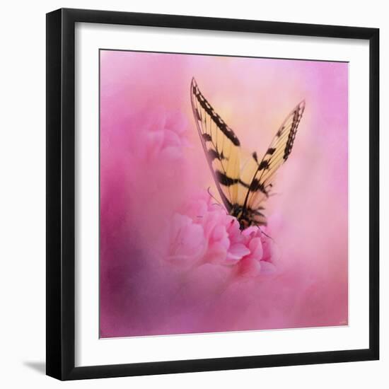 Butterfly on the Azaleas-Jai Johnson-Framed Premium Giclee Print