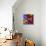 Butterfly Orchid-Steven Scott-Stretched Canvas displayed on a wall