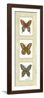 Butterfly Panel-unknown Sibley-Framed Art Print