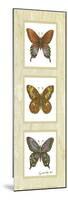 Butterfly Panel-unknown Sibley-Mounted Art Print