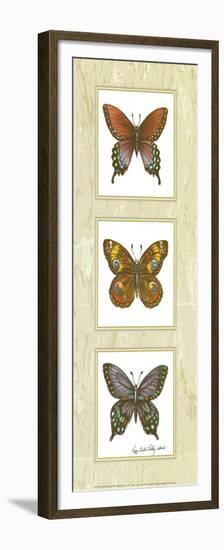 Butterfly Panel-unknown Sibley-Framed Premium Giclee Print