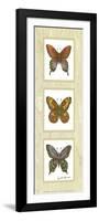 Butterfly Panel-unknown Sibley-Framed Premium Giclee Print