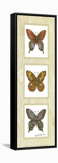 Butterfly Panel-unknown Sibley-Framed Stretched Canvas