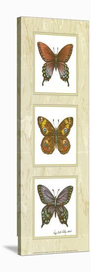 Butterfly Panel-unknown Sibley-Stretched Canvas
