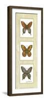 Butterfly Panel-unknown Sibley-Framed Art Print