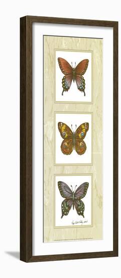 Butterfly Panel-unknown Sibley-Framed Art Print