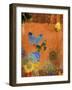 Butterfly Panorama Triptych I-Sisa Jasper-Framed Art Print