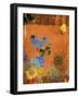 Butterfly Panorama Triptych I-Sisa Jasper-Framed Art Print