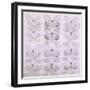 Butterfly Pattern-Katja Marzahn-Framed Giclee Print