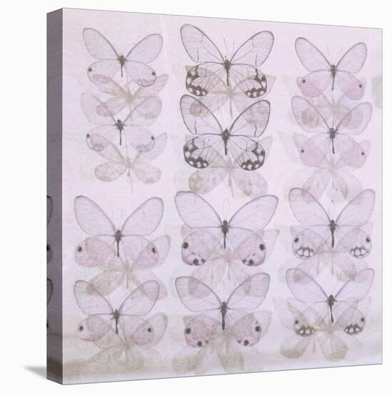 Butterfly Pattern-Katja Marzahn-Stretched Canvas