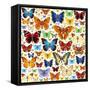 Butterfly Pattern-OlgaChernyak-Framed Stretched Canvas