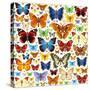 Butterfly Pattern-OlgaChernyak-Stretched Canvas