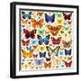 Butterfly Pattern-OlgaChernyak-Framed Art Print