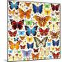 Butterfly Pattern-OlgaChernyak-Mounted Art Print