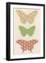 Butterfly Patterns III-Erica J. Vess-Framed Art Print