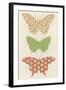 Butterfly Patterns III-Erica J. Vess-Framed Art Print