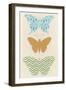 Butterfly Patterns IV-Erica J. Vess-Framed Art Print