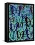 Butterfly Patterns-Abstract Graffiti-Framed Stretched Canvas