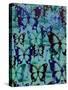 Butterfly Patterns-Abstract Graffiti-Stretched Canvas