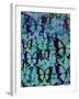 Butterfly Patterns-Abstract Graffiti-Framed Giclee Print