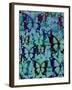 Butterfly Patterns-Abstract Graffiti-Framed Giclee Print