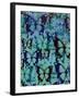 Butterfly Patterns-Abstract Graffiti-Framed Giclee Print