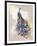 Butterfly Peacock-The Tangled Peacock-Framed Giclee Print