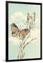 Butterfly People on Pussy Willows-null-Framed Art Print