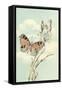 Butterfly People on Pussy Willows-null-Framed Stretched Canvas