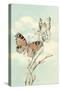 Butterfly People on Pussy Willows-null-Stretched Canvas