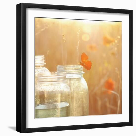 Butterfly Perch-Mandy Lynne-Framed Art Print