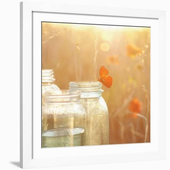 Butterfly Perch-Mandy Lynne-Framed Art Print