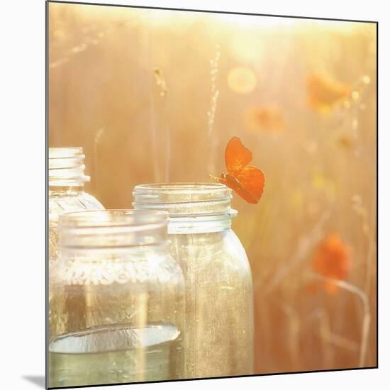 Butterfly Perch-Mandy Lynne-Mounted Art Print