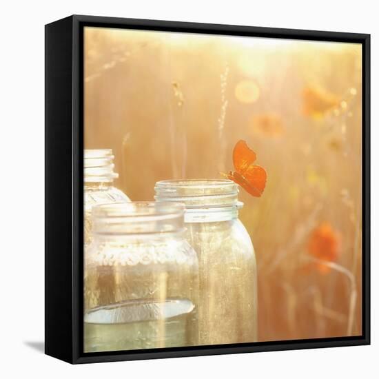 Butterfly Perch-Mandy Lynne-Framed Stretched Canvas