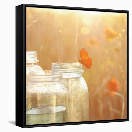 Butterfly Perch-Mandy Lynne-Framed Stretched Canvas