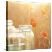 Butterfly Perch-Mandy Lynne-Stretched Canvas