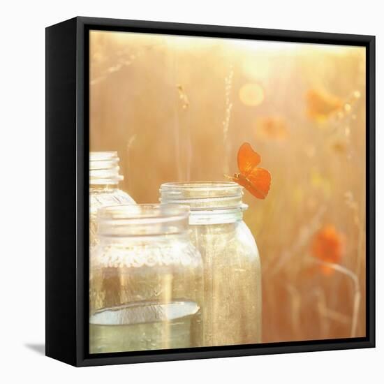 Butterfly Perch-Mandy Lynne-Framed Stretched Canvas