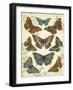 Butterfly Plate-Jean Plout-Framed Giclee Print