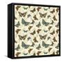 Butterfly Plate-Jean Plout-Framed Stretched Canvas