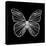 Butterfly Polygon-Lisa Kroll-Stretched Canvas