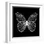 Butterfly Polygon-Lisa Kroll-Framed Art Print