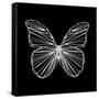 Butterfly Polygon-Lisa Kroll-Framed Stretched Canvas