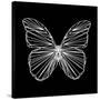 Butterfly Polygon-Lisa Kroll-Stretched Canvas