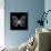 Butterfly Polygon-Lisa Kroll-Art Print displayed on a wall