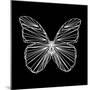 Butterfly Polygon-Lisa Kroll-Mounted Premium Giclee Print